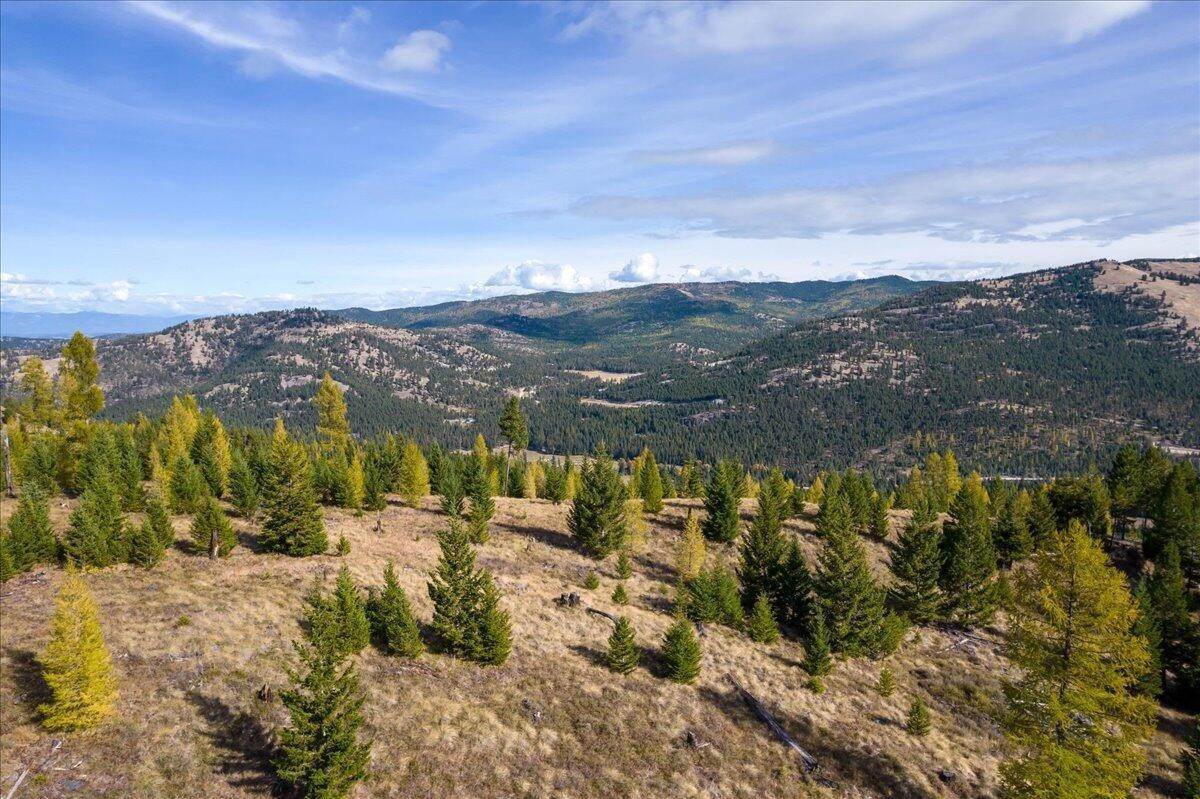 11. Land for Sale at Lot 1 Wild Bill Reserve, Kila, Montana 59920 United States