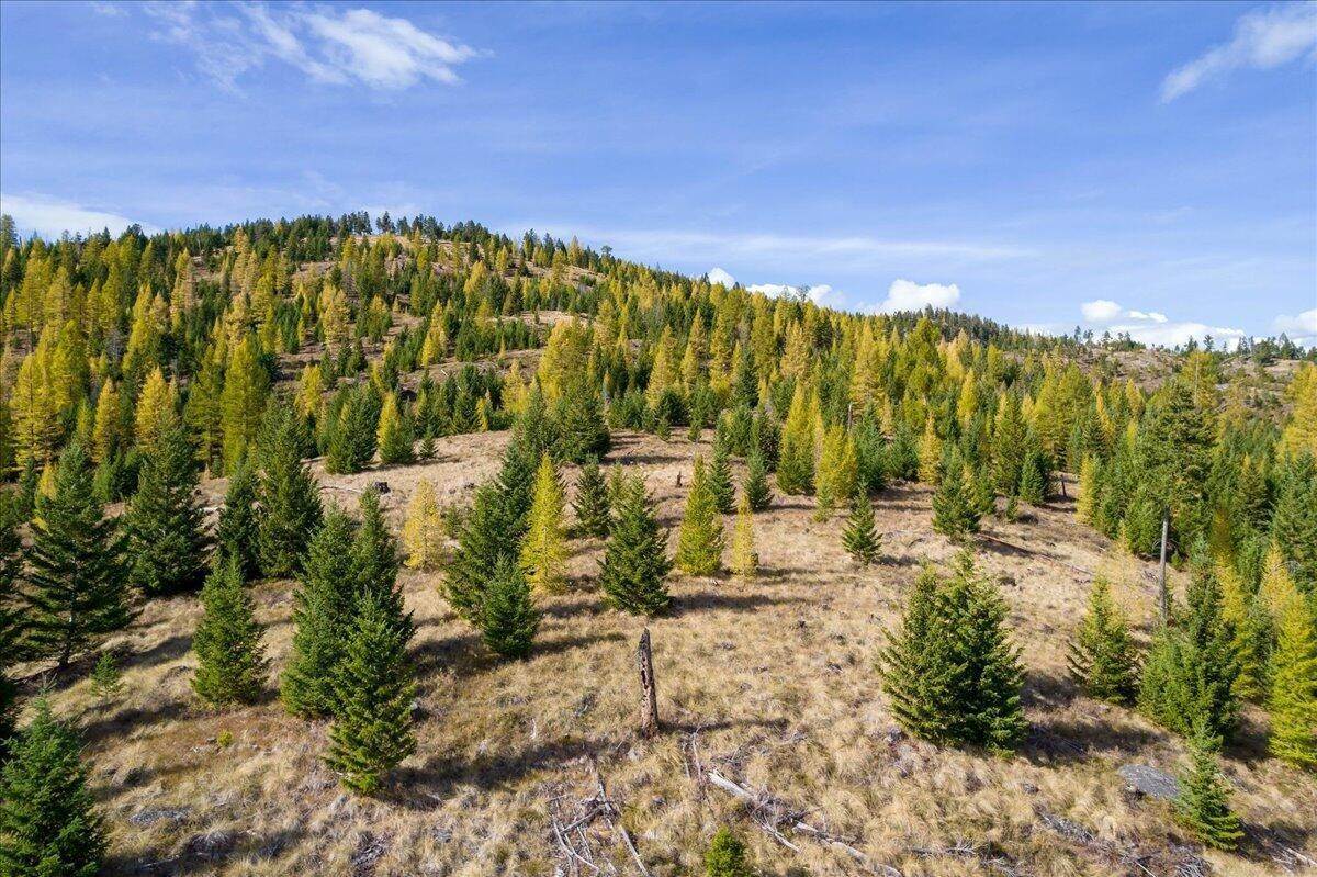 15. Land for Sale at Lot 1 Wild Bill Reserve, Kila, Montana 59920 United States