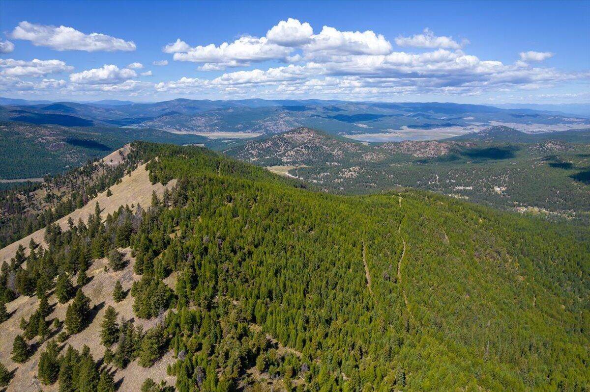 2. Land for Sale at Coon Hollow Road, Kila, Montana 59920 United States