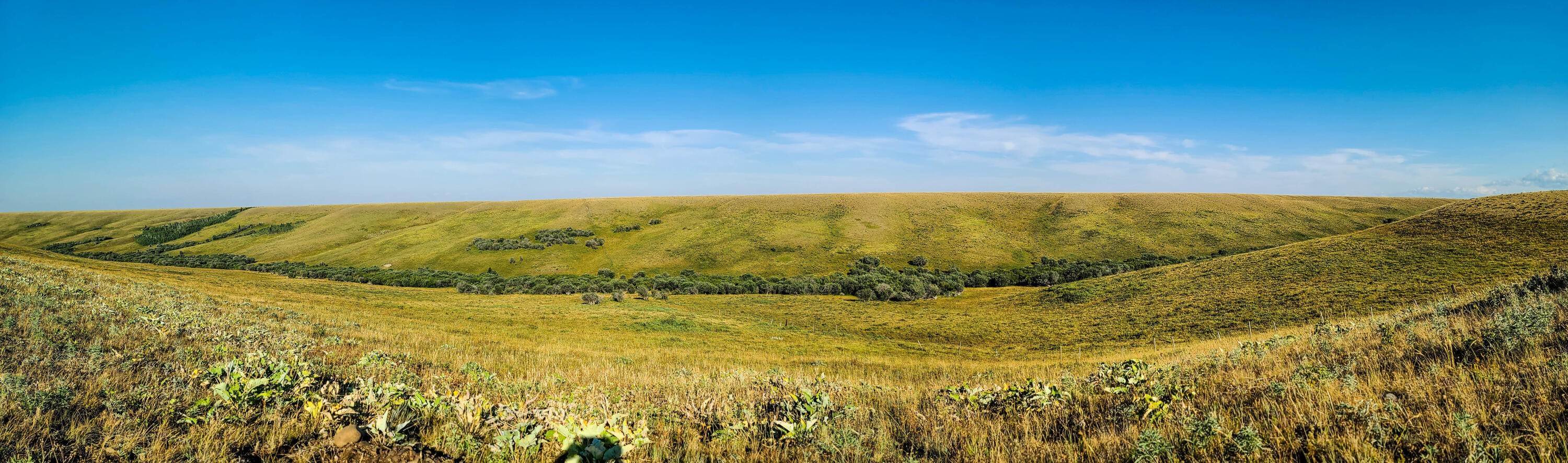 12. Land for Sale at Milk River, Babb, Montana 59411 United States