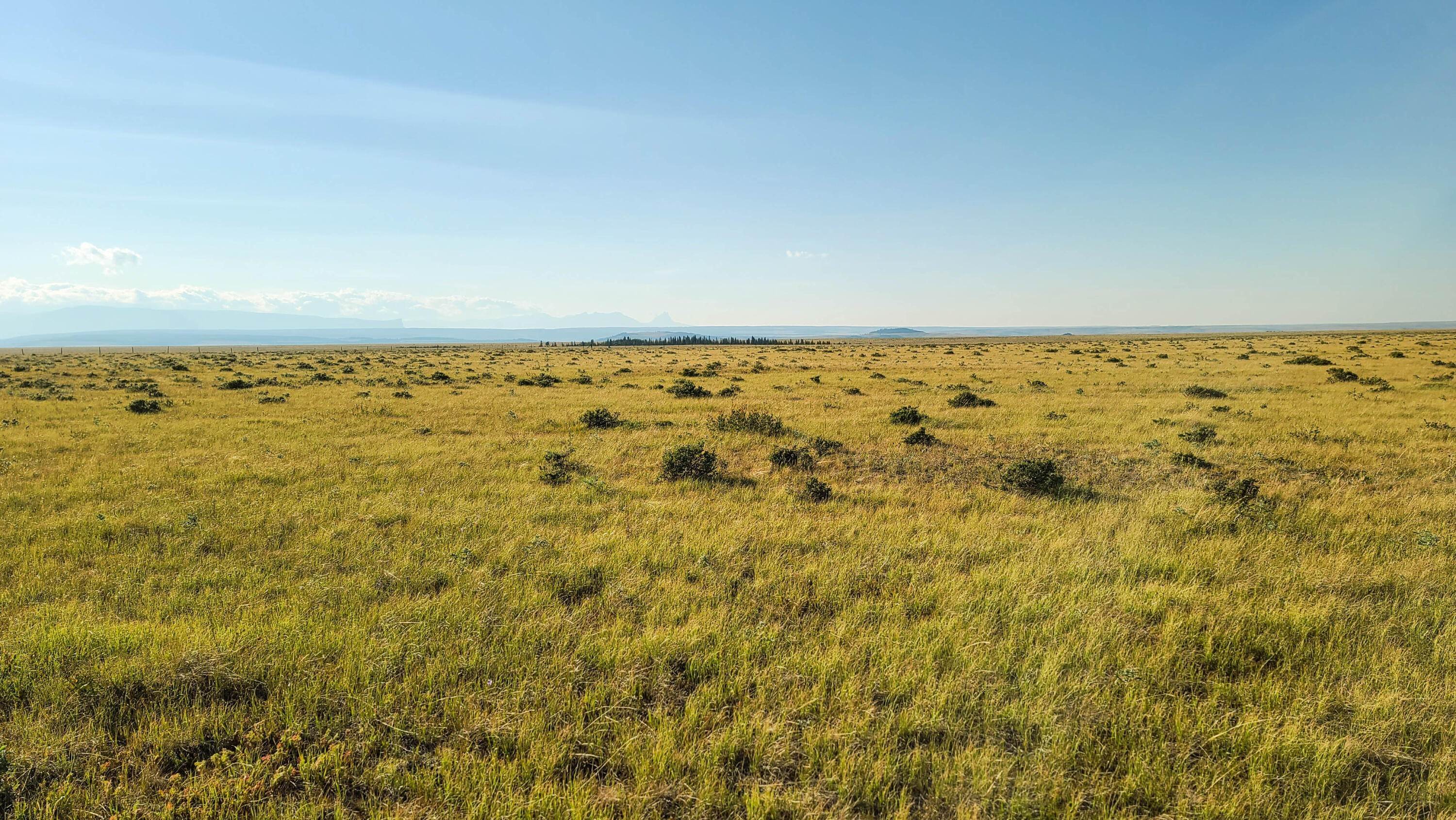 17. Land for Sale at Milk River, Babb, Montana 59411 United States