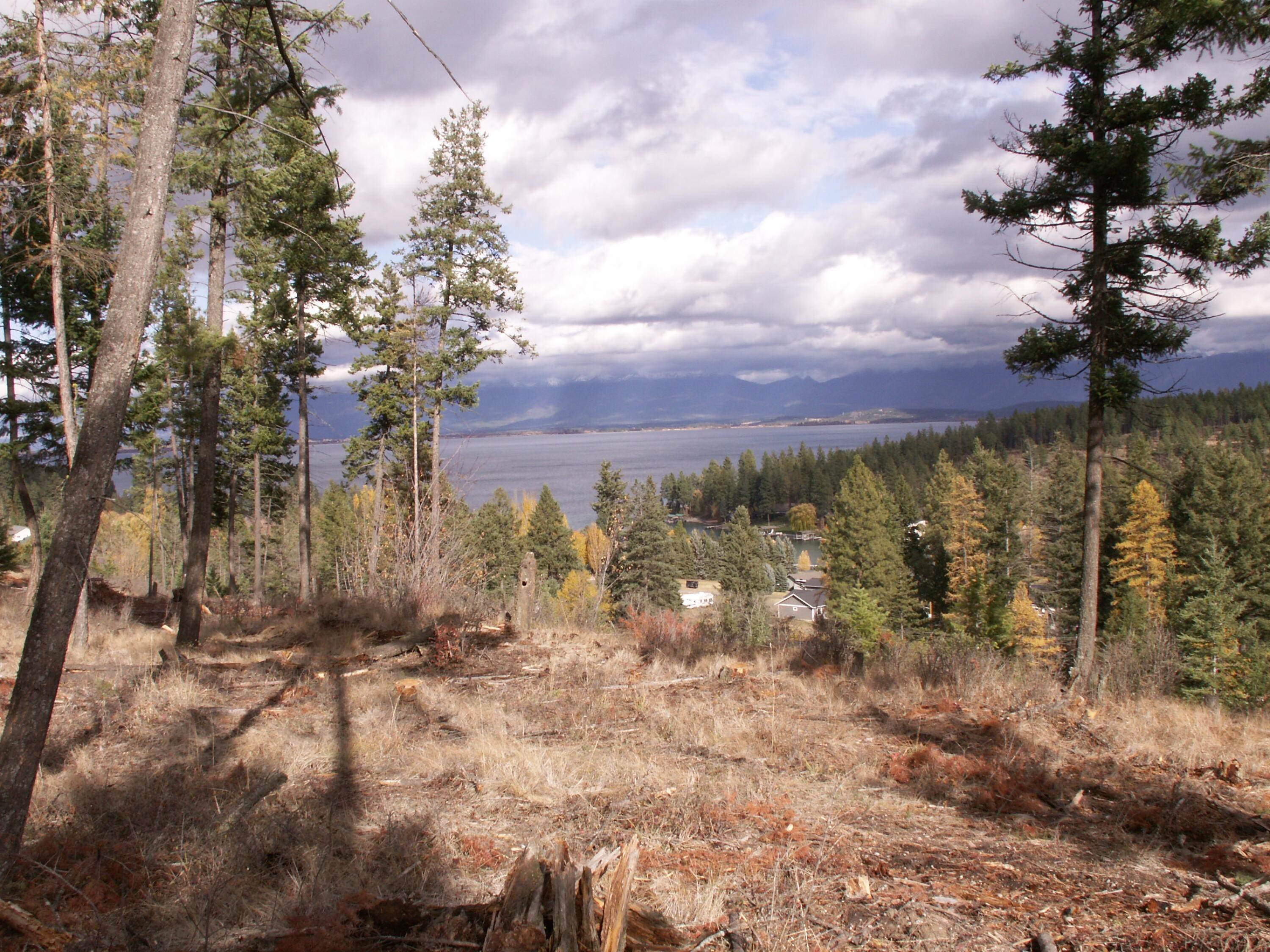 Land for Sale at Us Hwy 93, Lakeside, Montana 59922 United States
