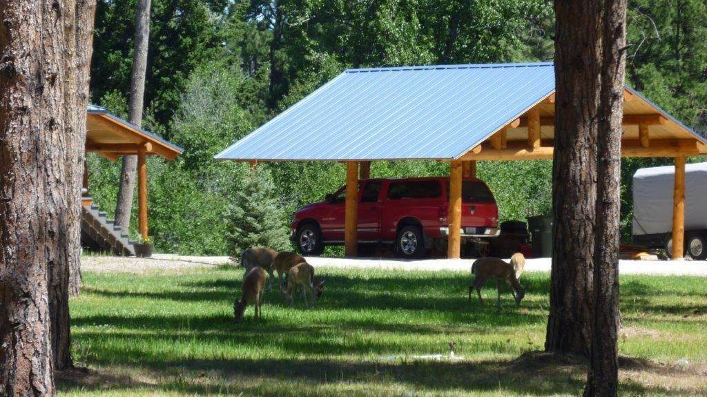 2. Single Family Homes for Sale at 140 Mountain Goat Road Hamilton, Montana 59840 United States