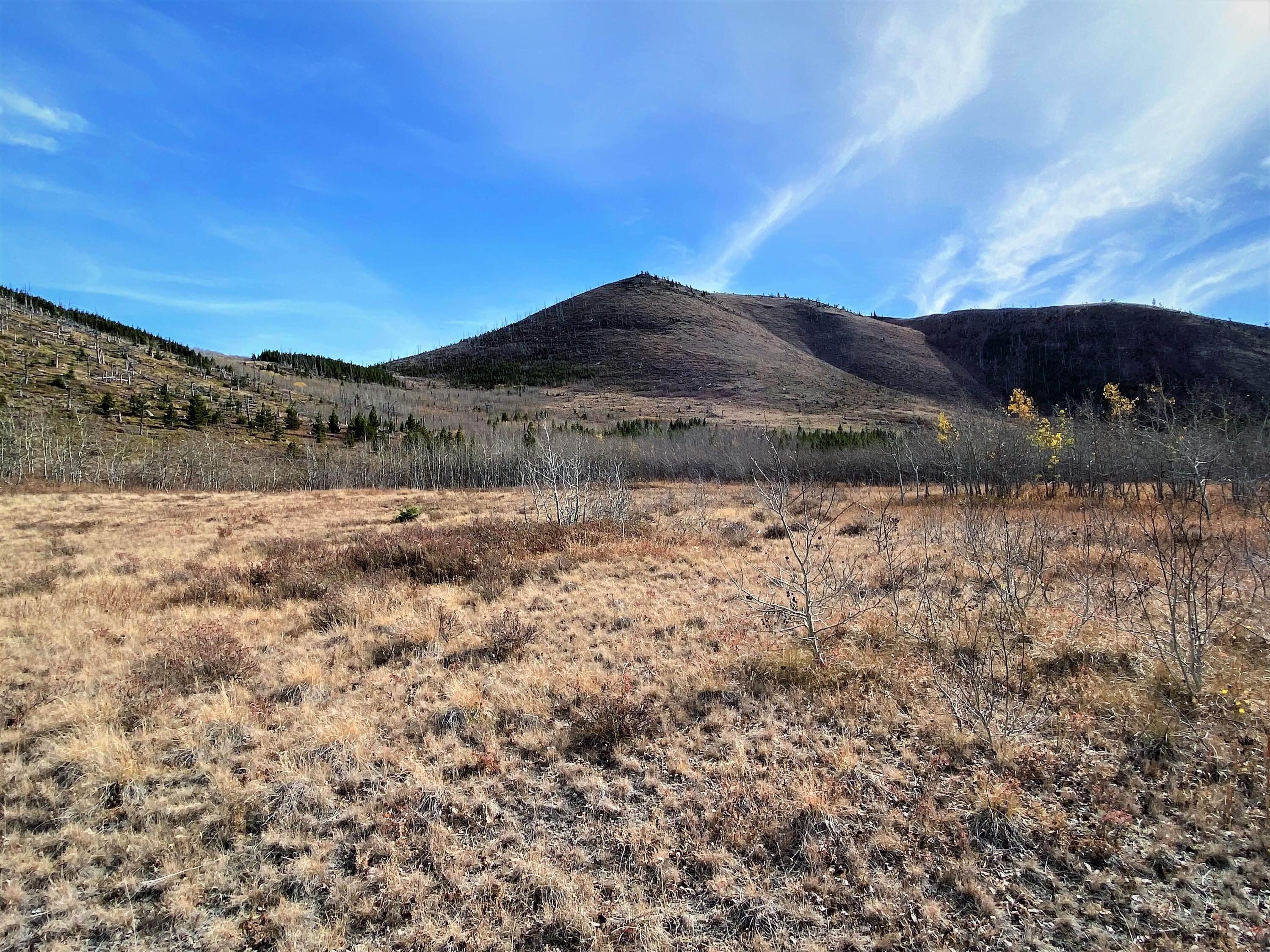 3. Land for Sale at Steamboat Drive, Augusta, Montana 59410 United States