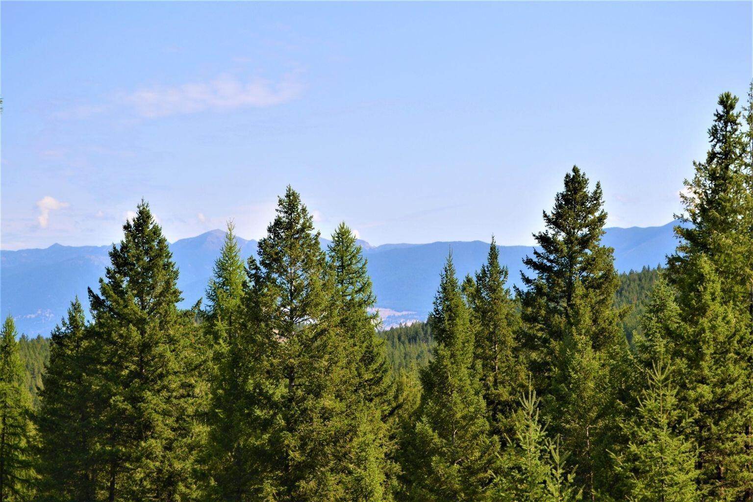 7. Land for Sale at 6869 Black Lake Road Rexford, Montana 59930 United States