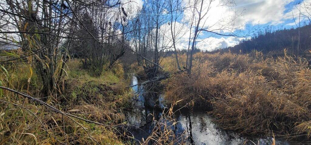 8. Land for Sale at West Pine Creek Road, Troy, Montana 59935 United States