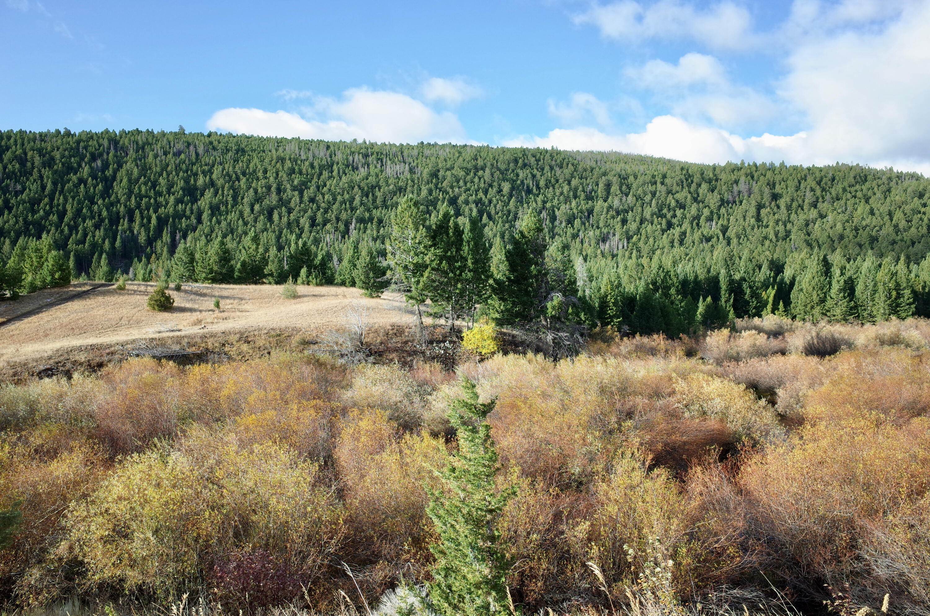 14. Land for Sale at Bowman Road, Deer Lodge, Montana 59722 United States