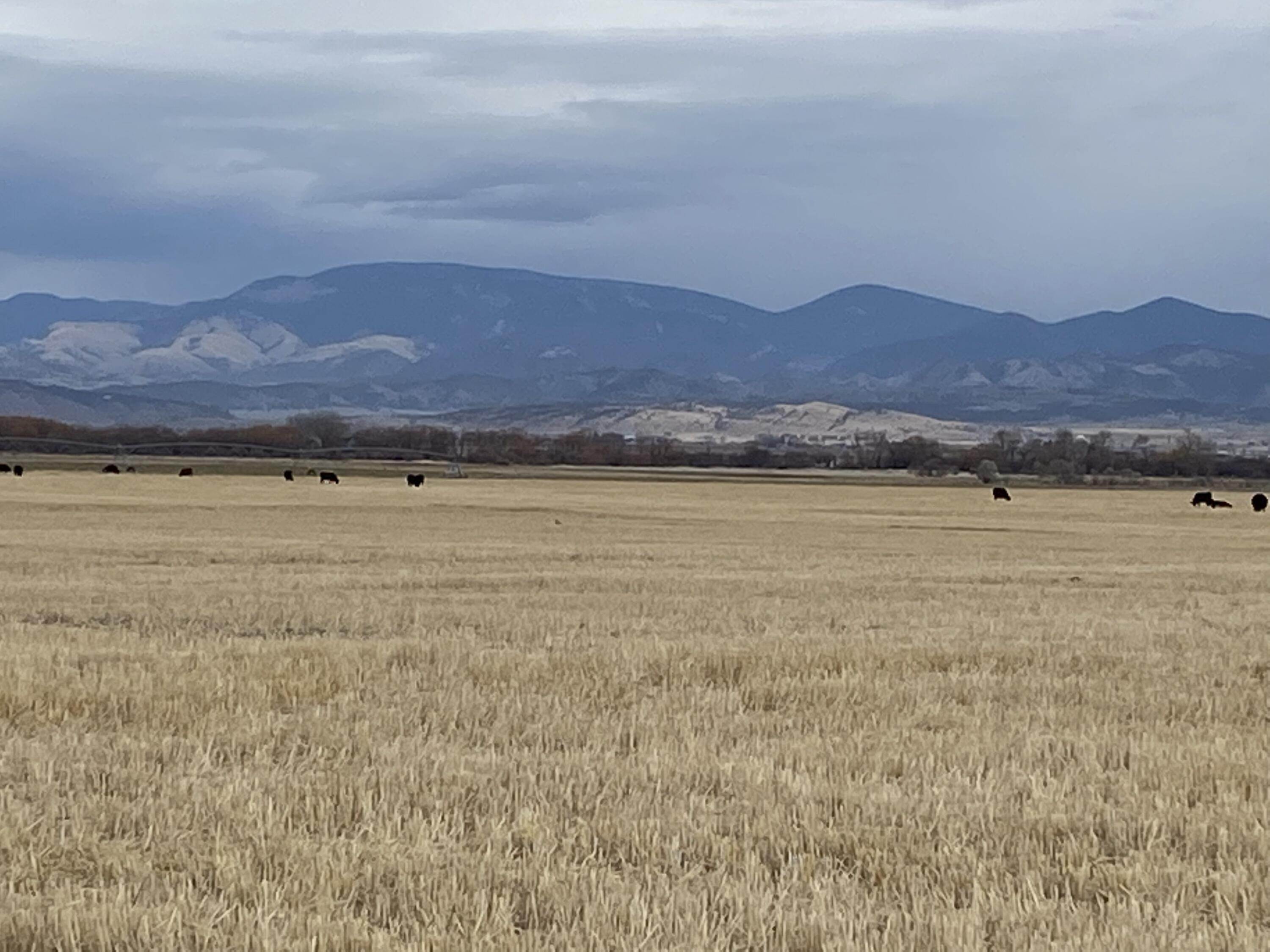 Land for Sale at Custer Avenue, Helena, Montana 59601 United States