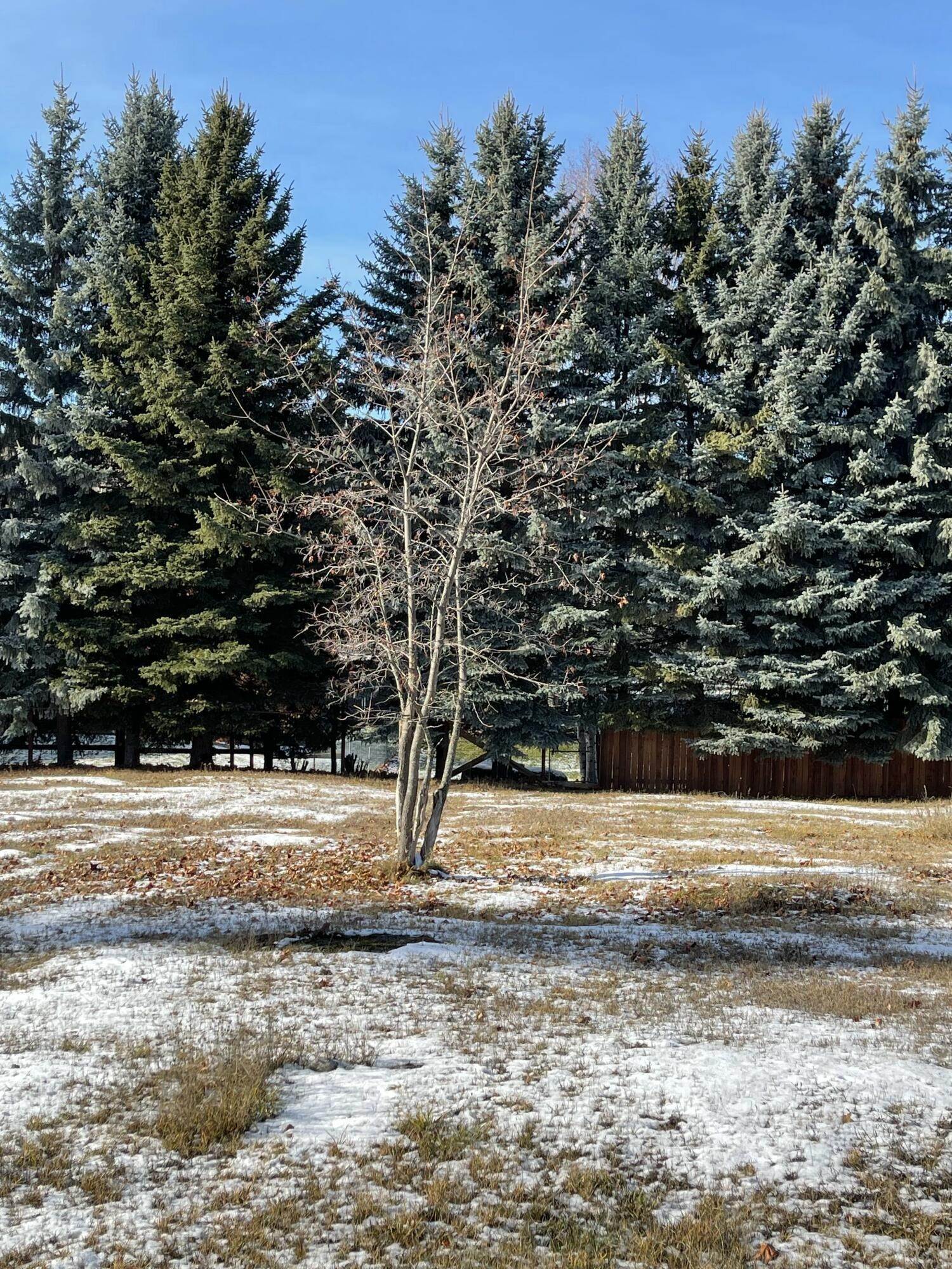 15. Land for Sale at 1199 West 7th Street, Whitefish, Montana 59937 United States