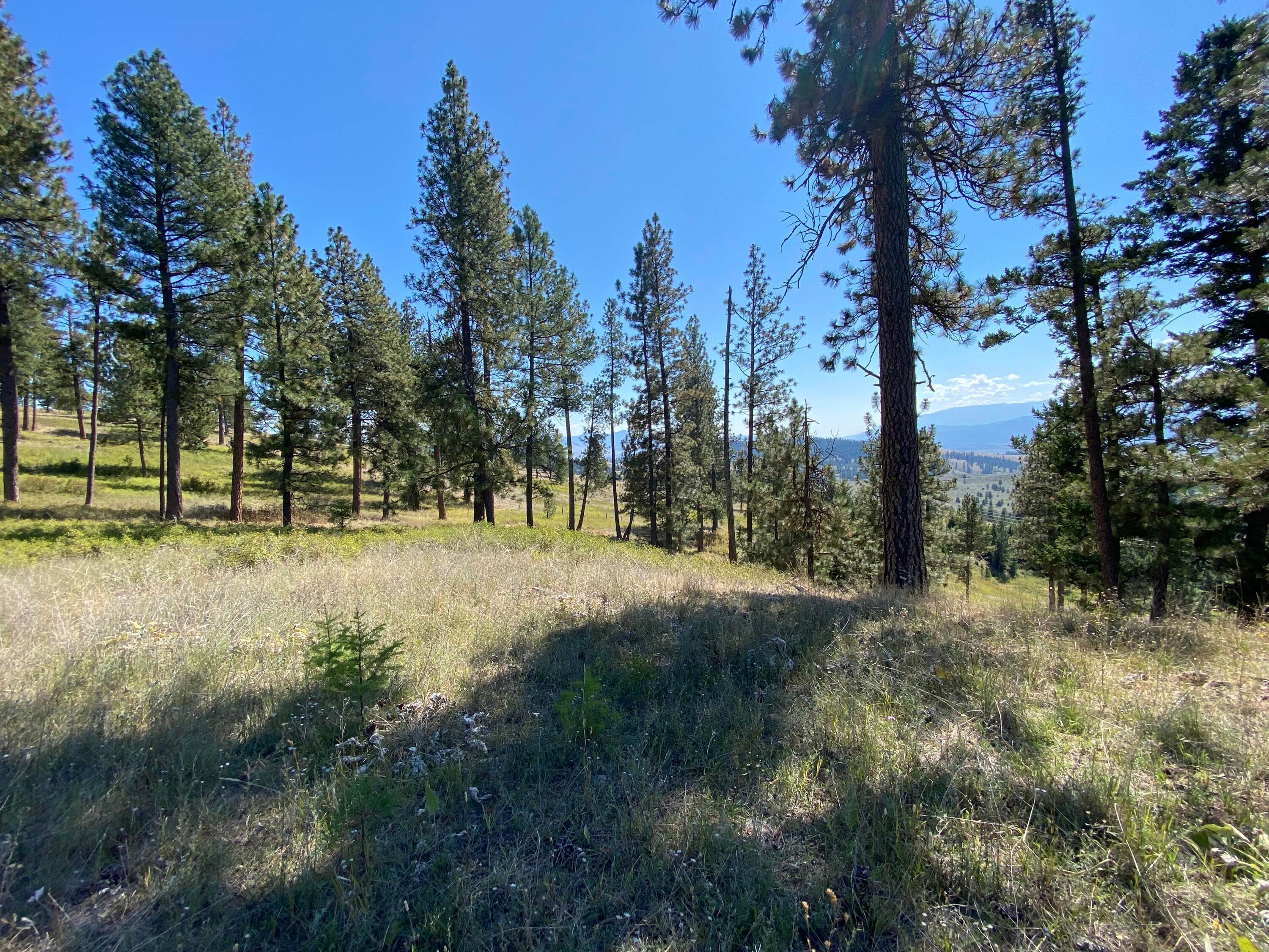 Land for Sale at Butler Creek Road Missoula, Montana 59808 United States