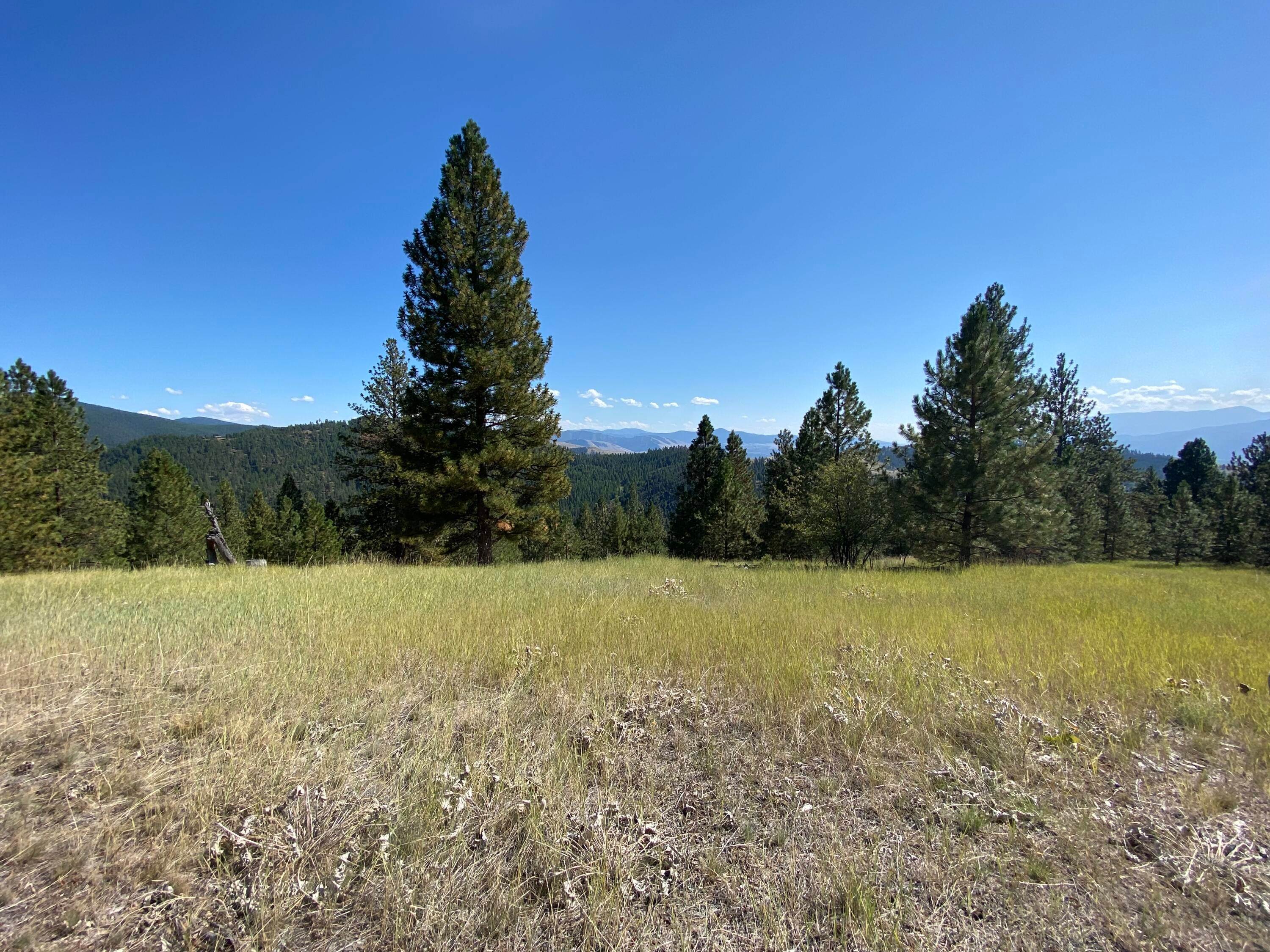 16. Land for Sale at Butler Creek Road Missoula, Montana 59808 United States