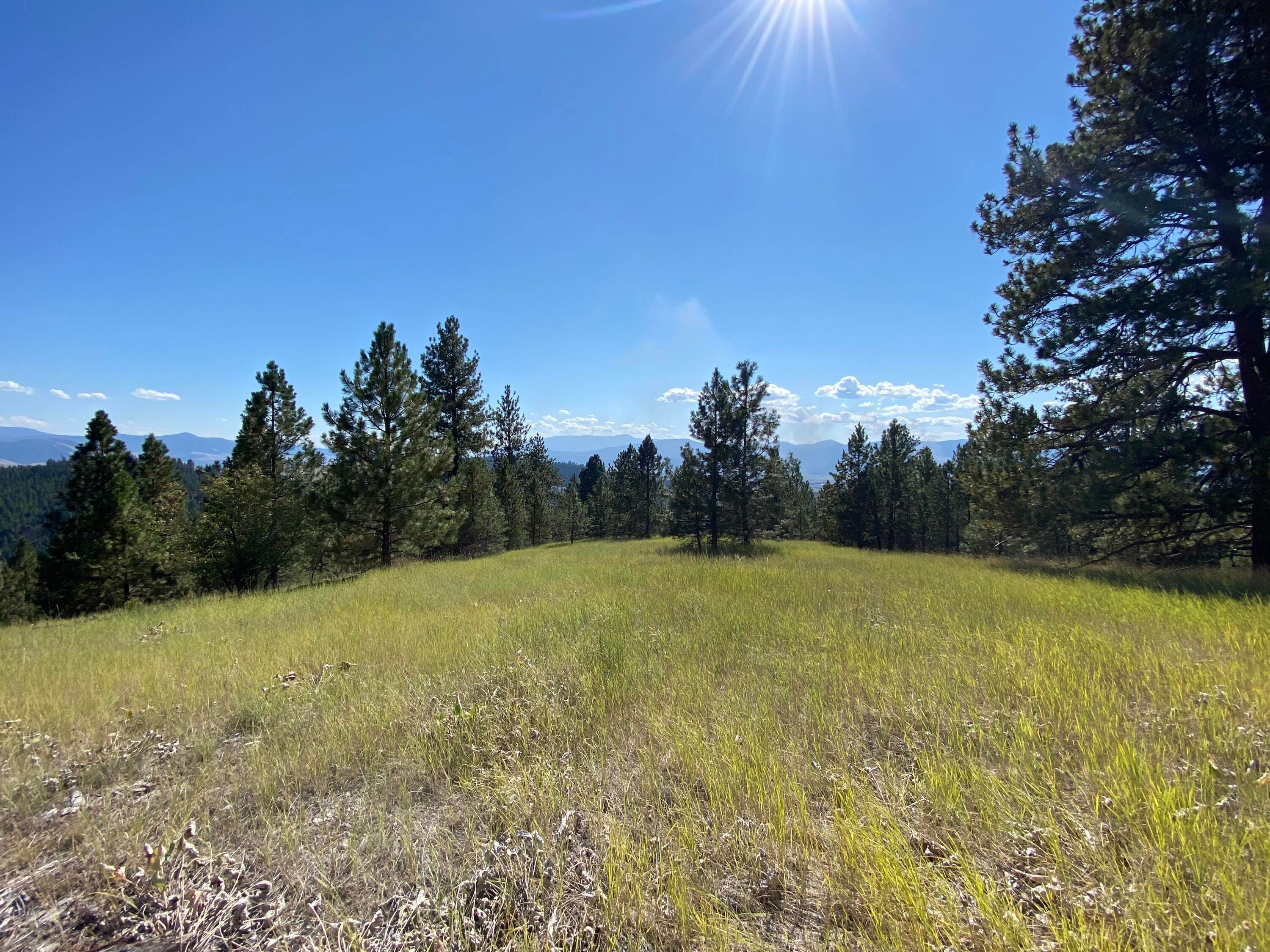 17. Land for Sale at Butler Creek Road Missoula, Montana 59808 United States