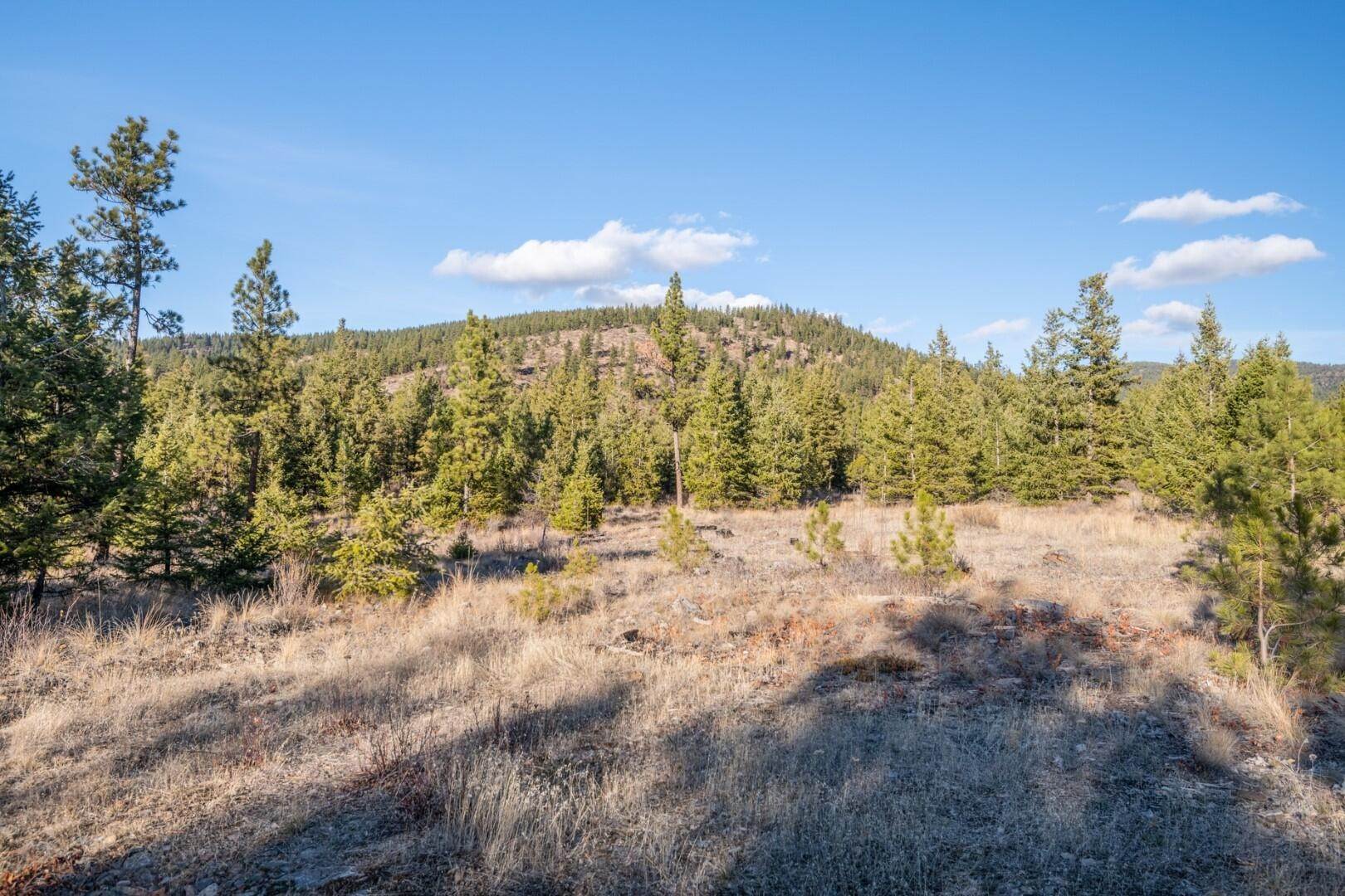 15. Land for Sale at Mt Highway 28 Plains, Montana 59859 United States