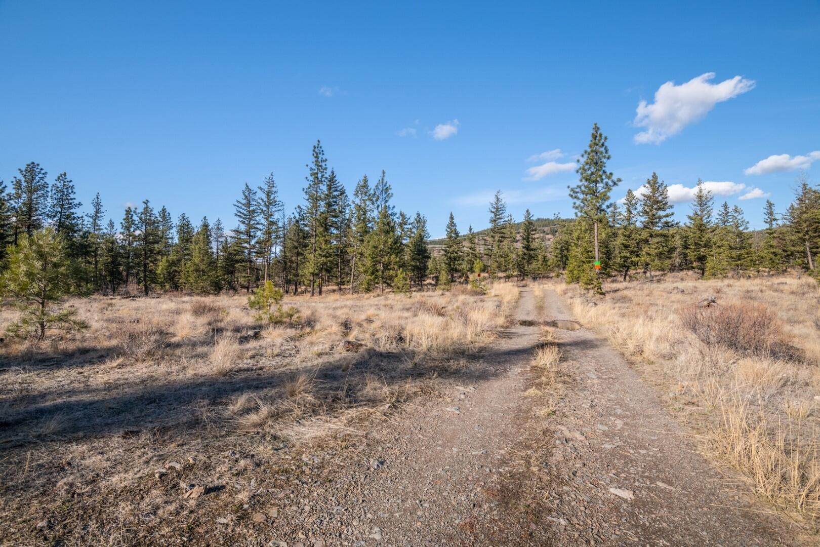 18. Land for Sale at Mt Highway 28 Plains, Montana 59859 United States