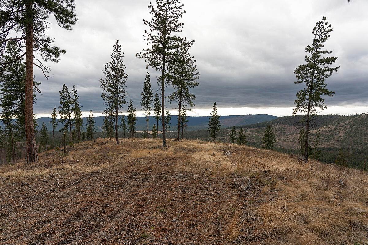 13. Land for Sale at Address Not Available Dayton, Montana 59914 United States