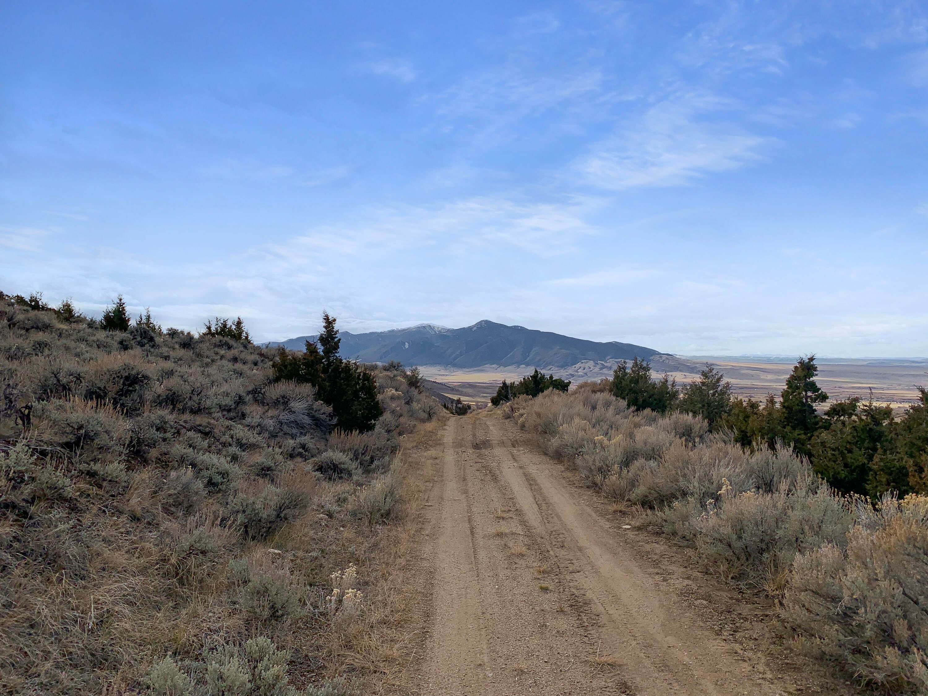 15. Land for Sale at Mill Creek And Toledo Mine Roa, Sheridan, Montana 59749 United States