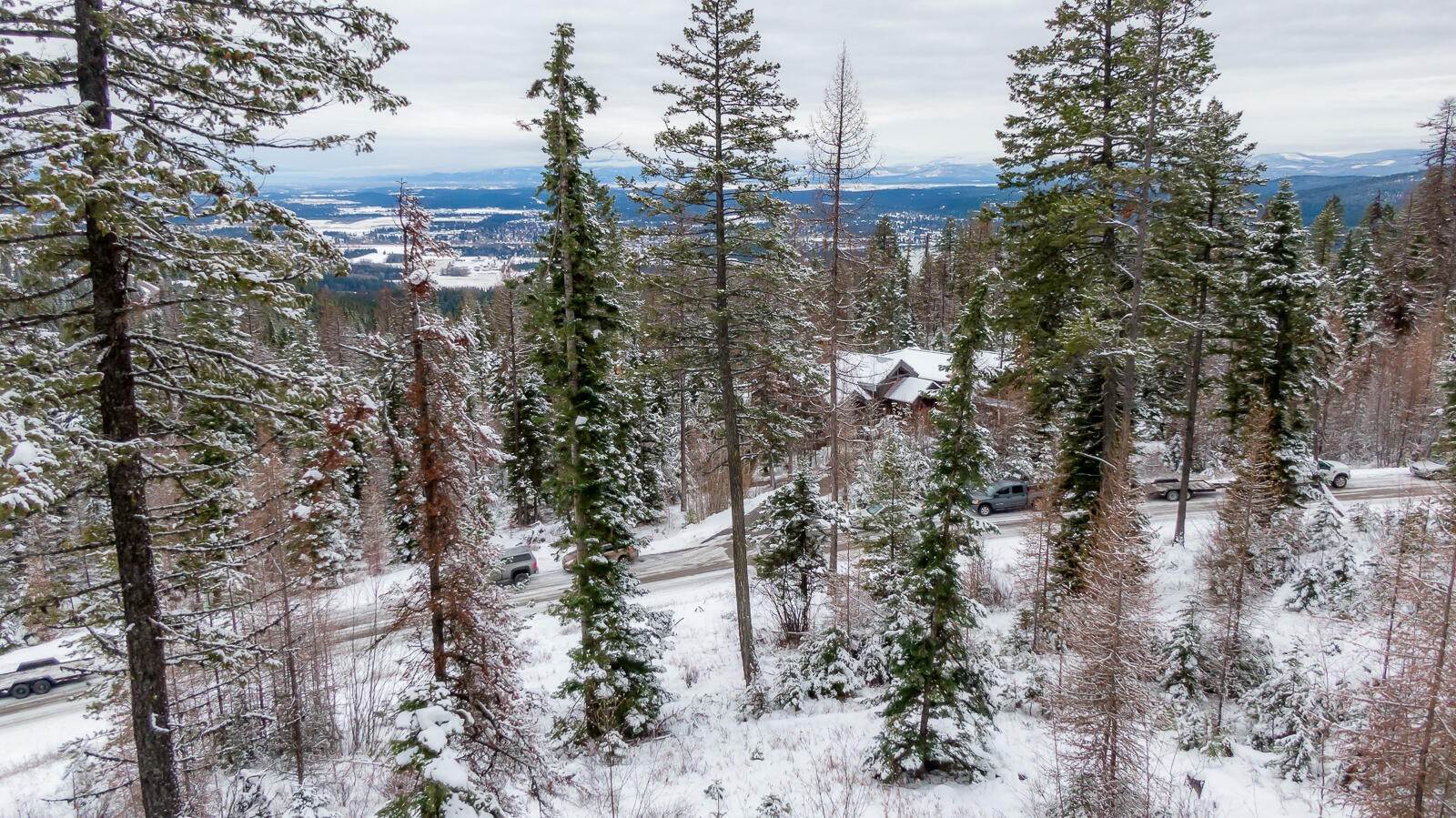 20. Land for Sale at 208 North Beargrass Circle Whitefish, Montana 59937 United States