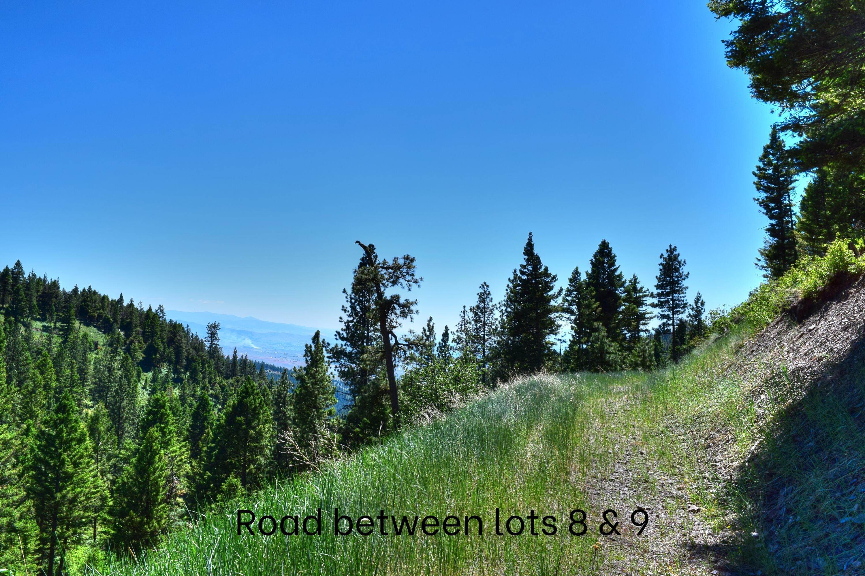 13. Land for Sale at 1898 Twisted Pine Road Florence, Montana 59833 United States