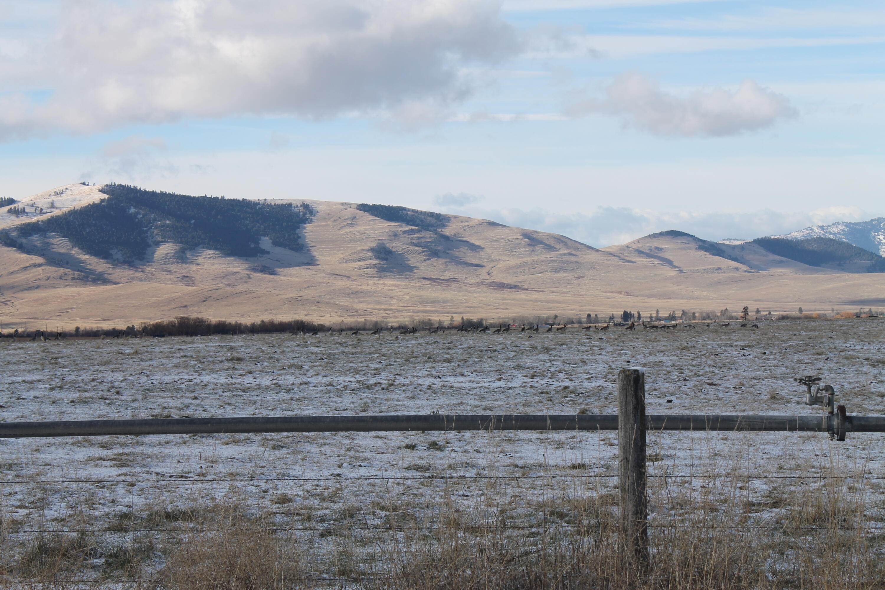 3. Land for Sale at Watson Road St. Ignatius, Montana 59865 United States