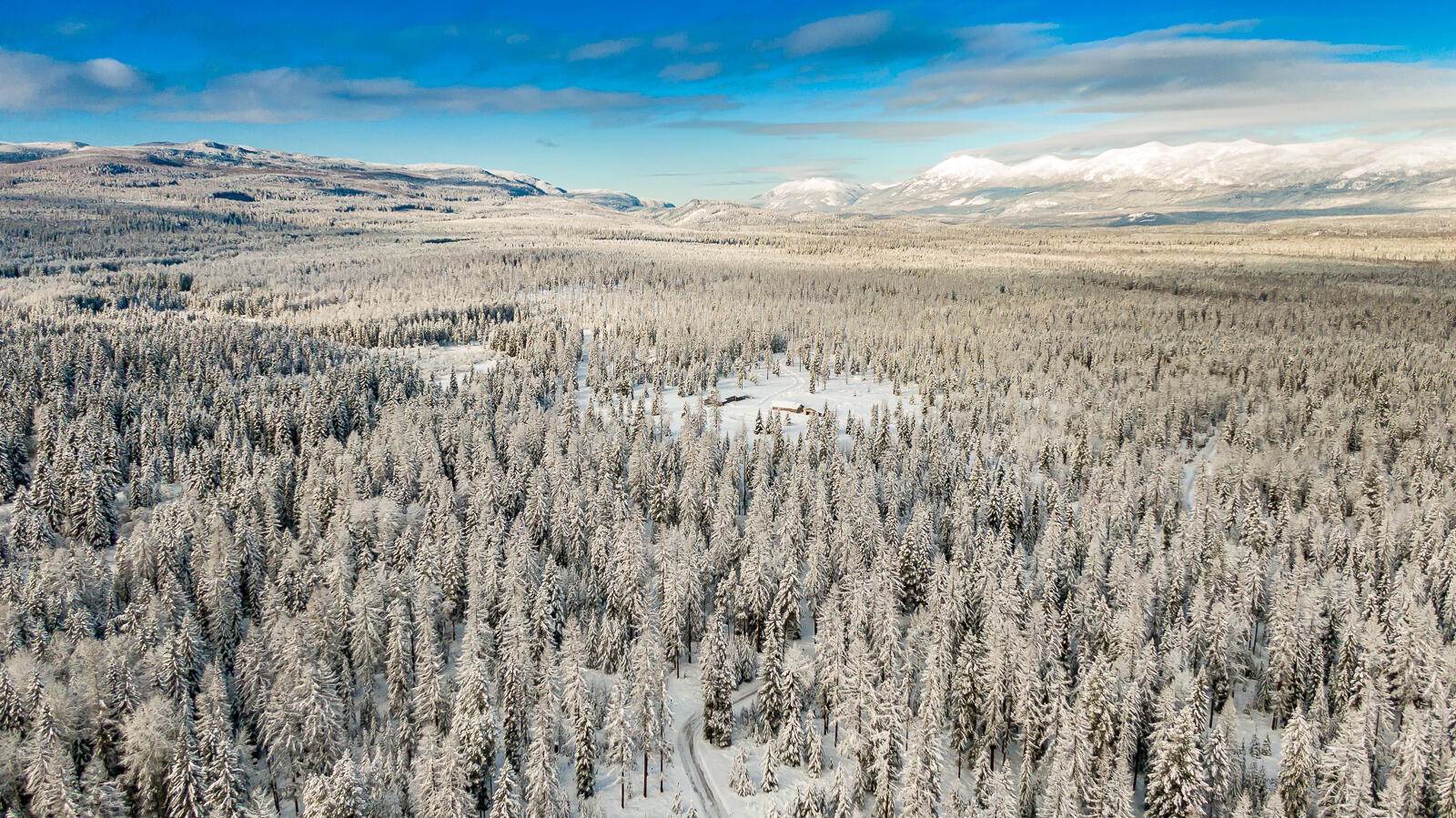 9. Land for Sale at 615 Potter Creek Road Olney, Montana 59927 United States