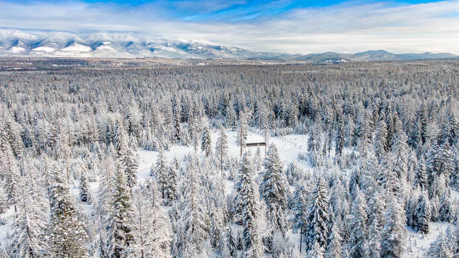 14. Land for Sale at 615 Potter Creek Road Olney, Montana 59927 United States