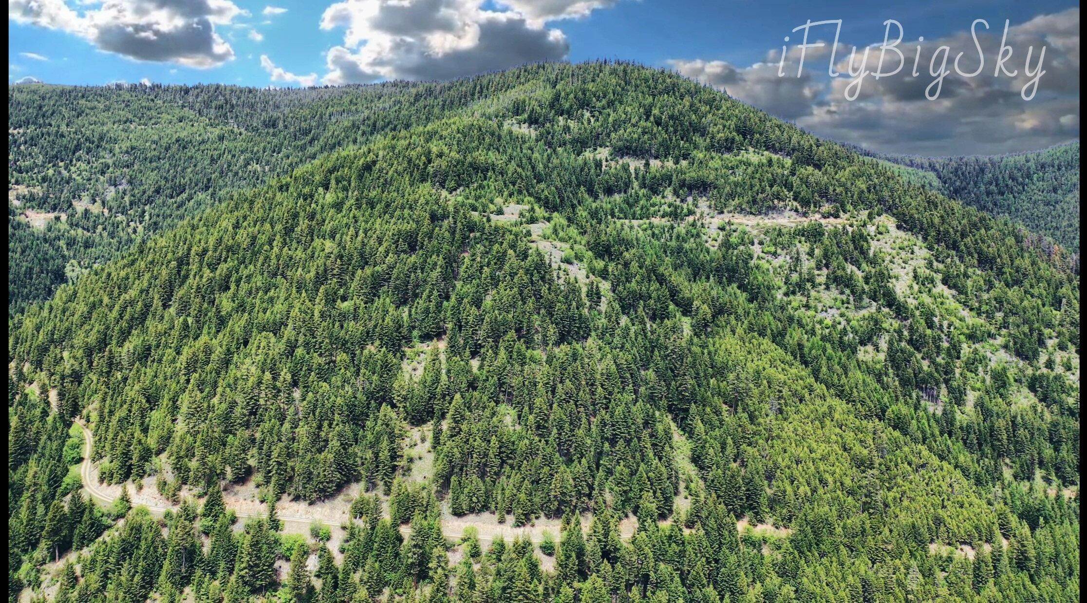 Land for Sale at Pardee Creek Road Superior, Montana 59872 United States