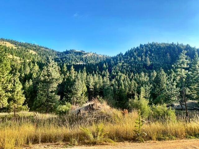 13. Land for Sale at Nhn Lot D1 Clancy Creek Lot D1 Road Clancy, Montana 59634 United States