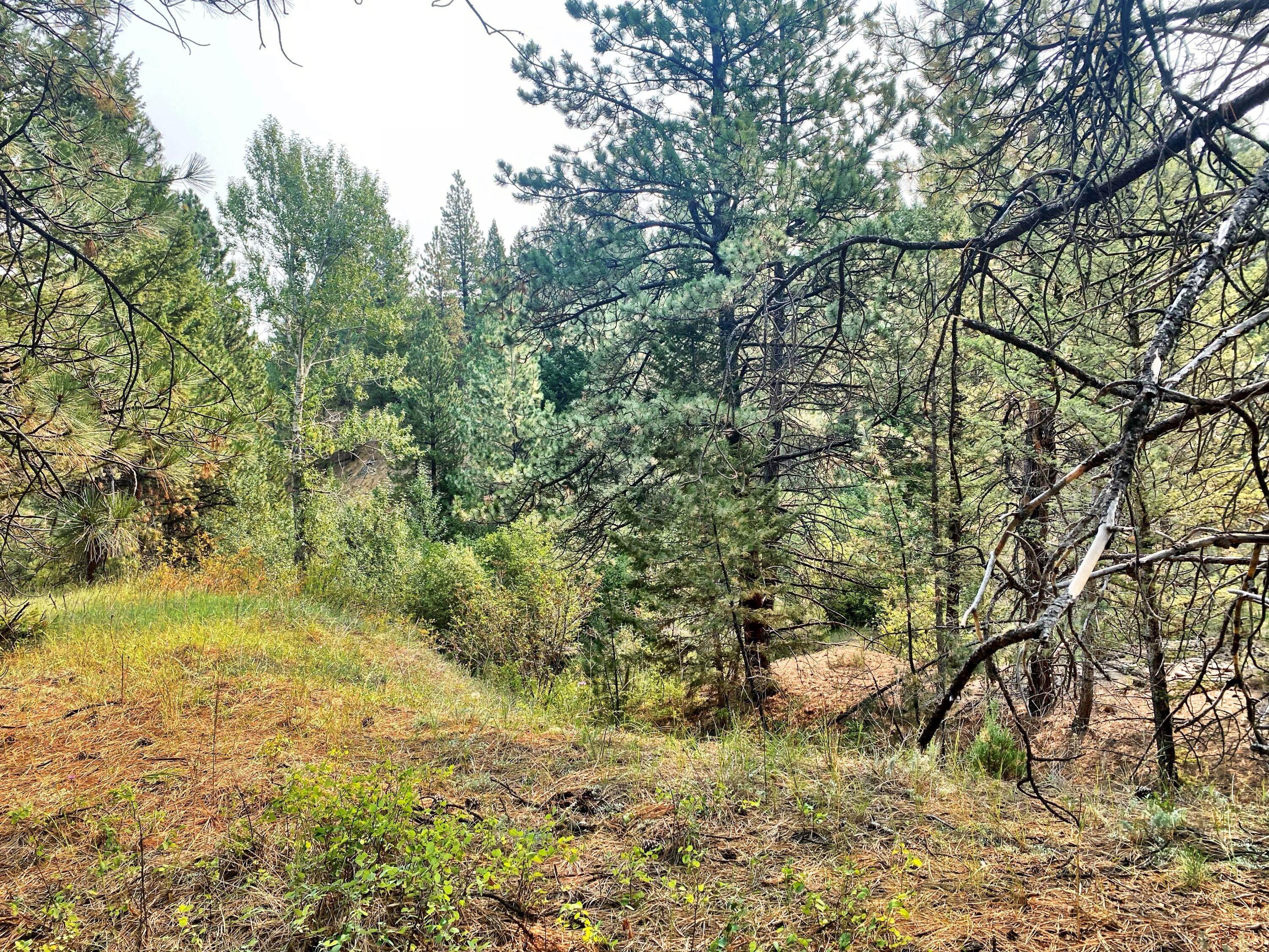 17. Land for Sale at Nhn Lot D1 Clancy Creek Lot D1 Road Clancy, Montana 59634 United States