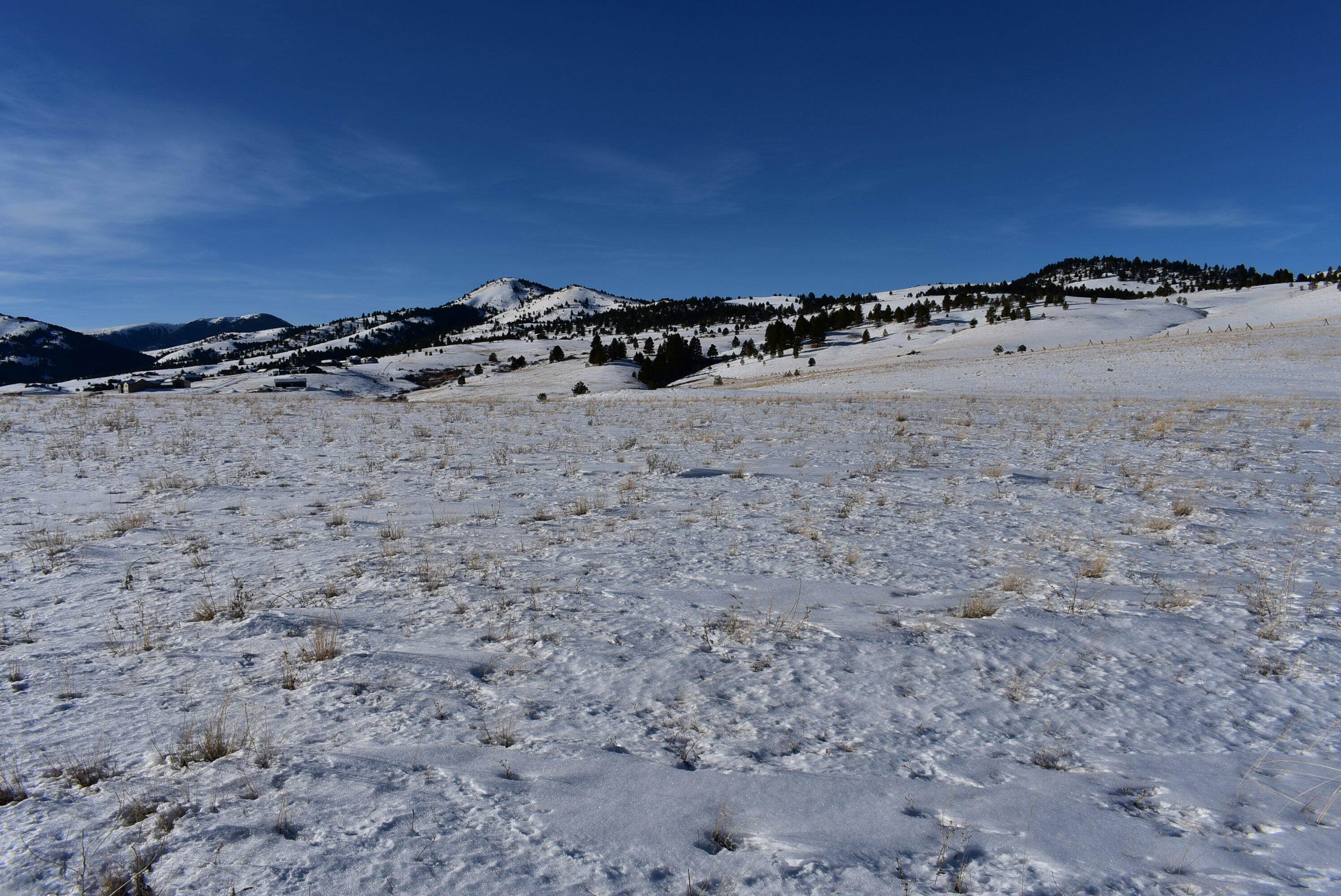 15. Land for Sale at Depot Road Jefferson City, Montana 59638 United States