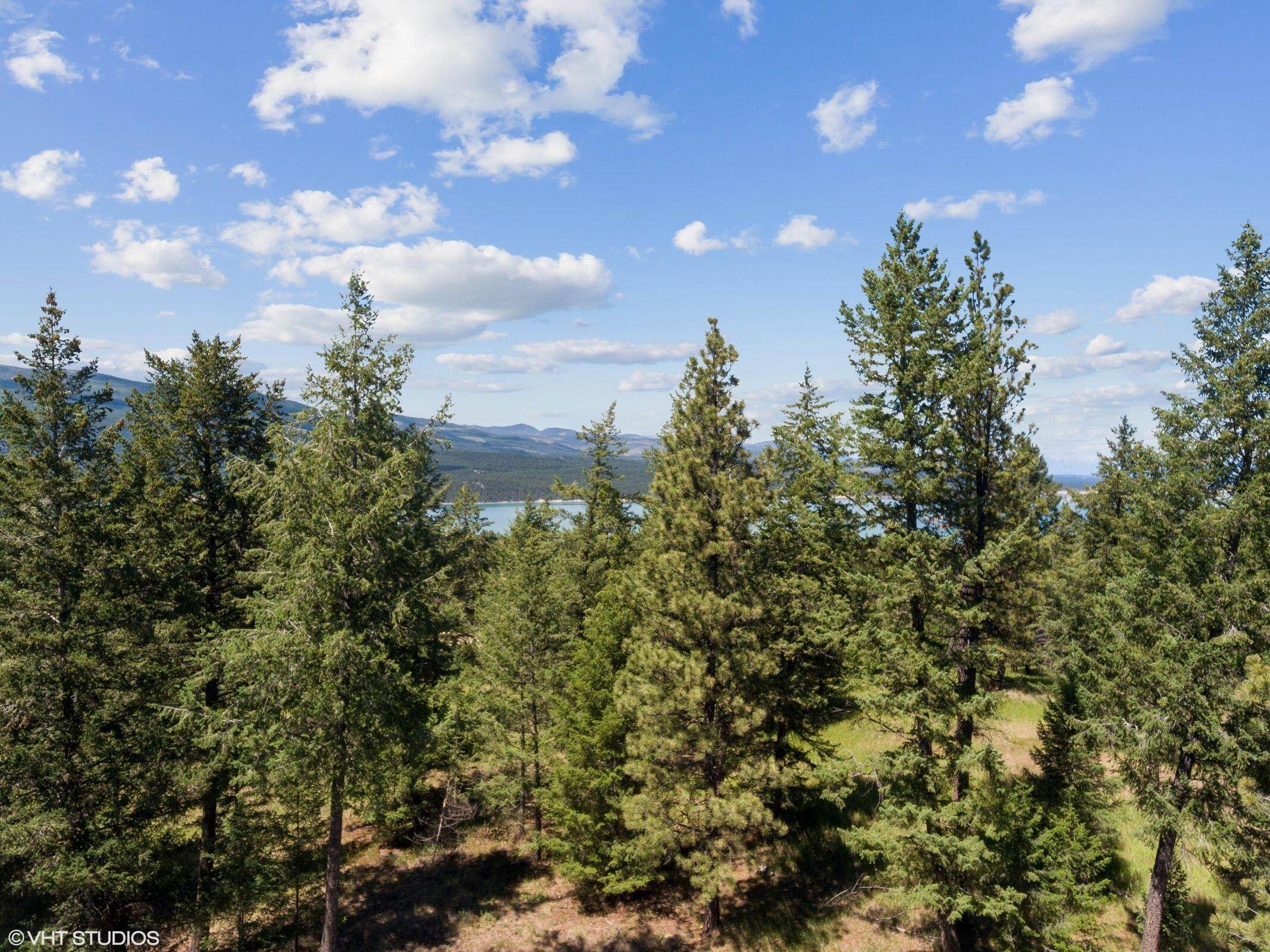 4. Land for Sale at Lot 1 Canadian Views, Eureka, Montana 59917 United States