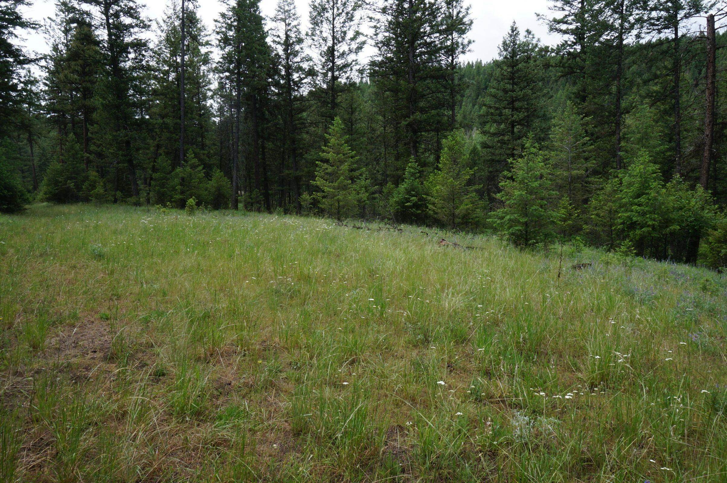 10. Land for Sale at Lot 1 Canadian Views, Eureka, Montana 59917 United States