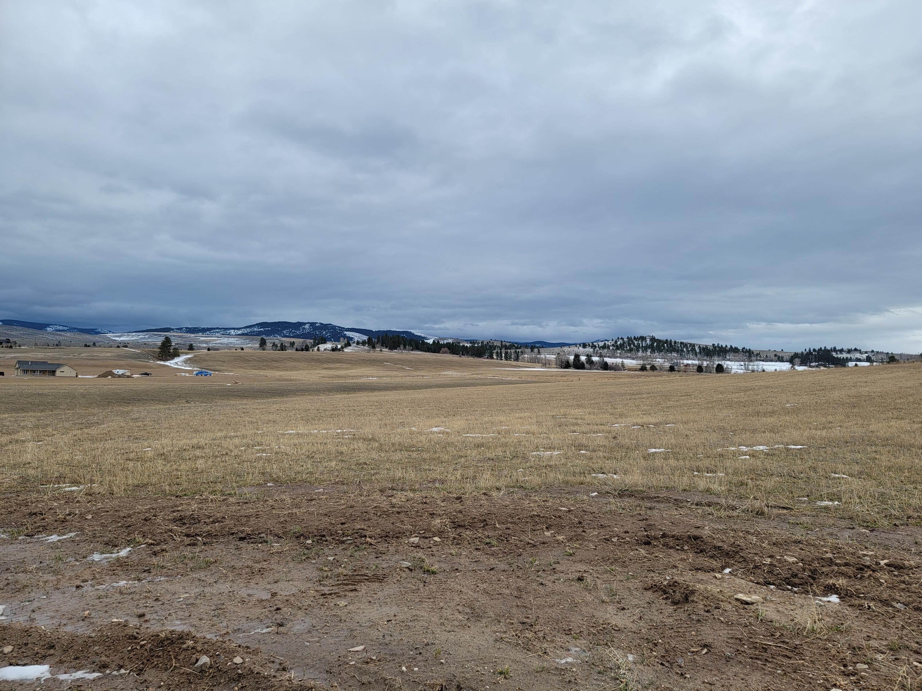 4. Land for Sale at Majestic Pine Place, Stevensville, Montana 59870 United States