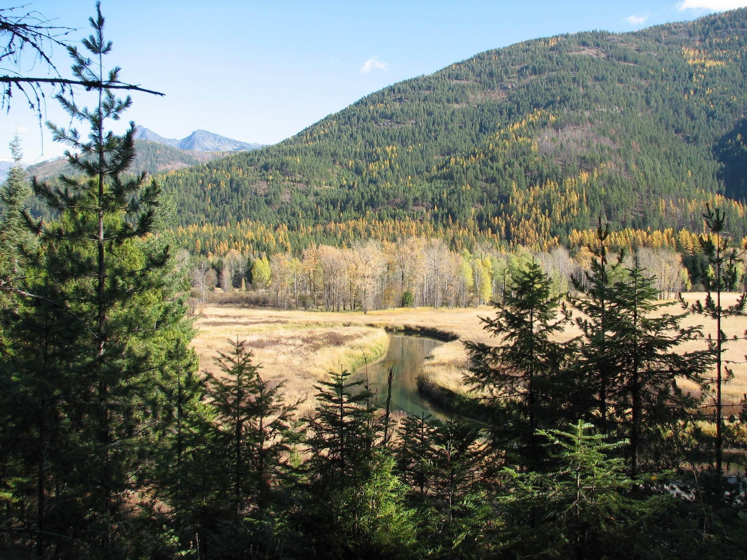 13. Land for Sale at 1418 Mt-56, Noxon, Montana 59829 United States