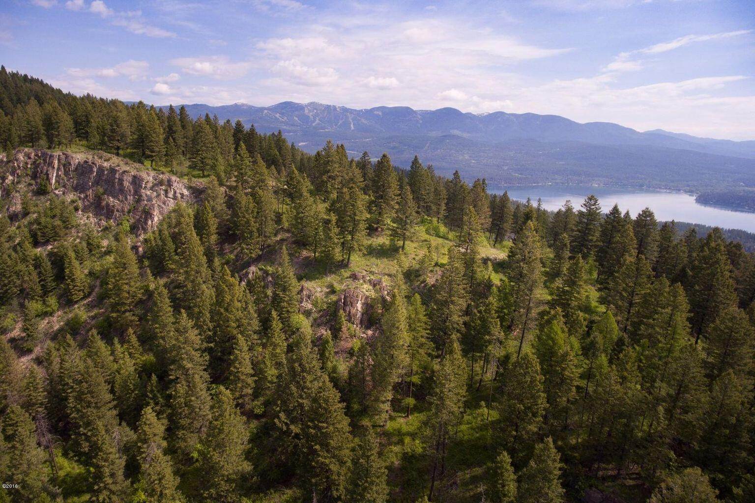 4. Land for Sale at 2399 Wolf Tail Pines Road, Whitefish, Montana 59937 United States