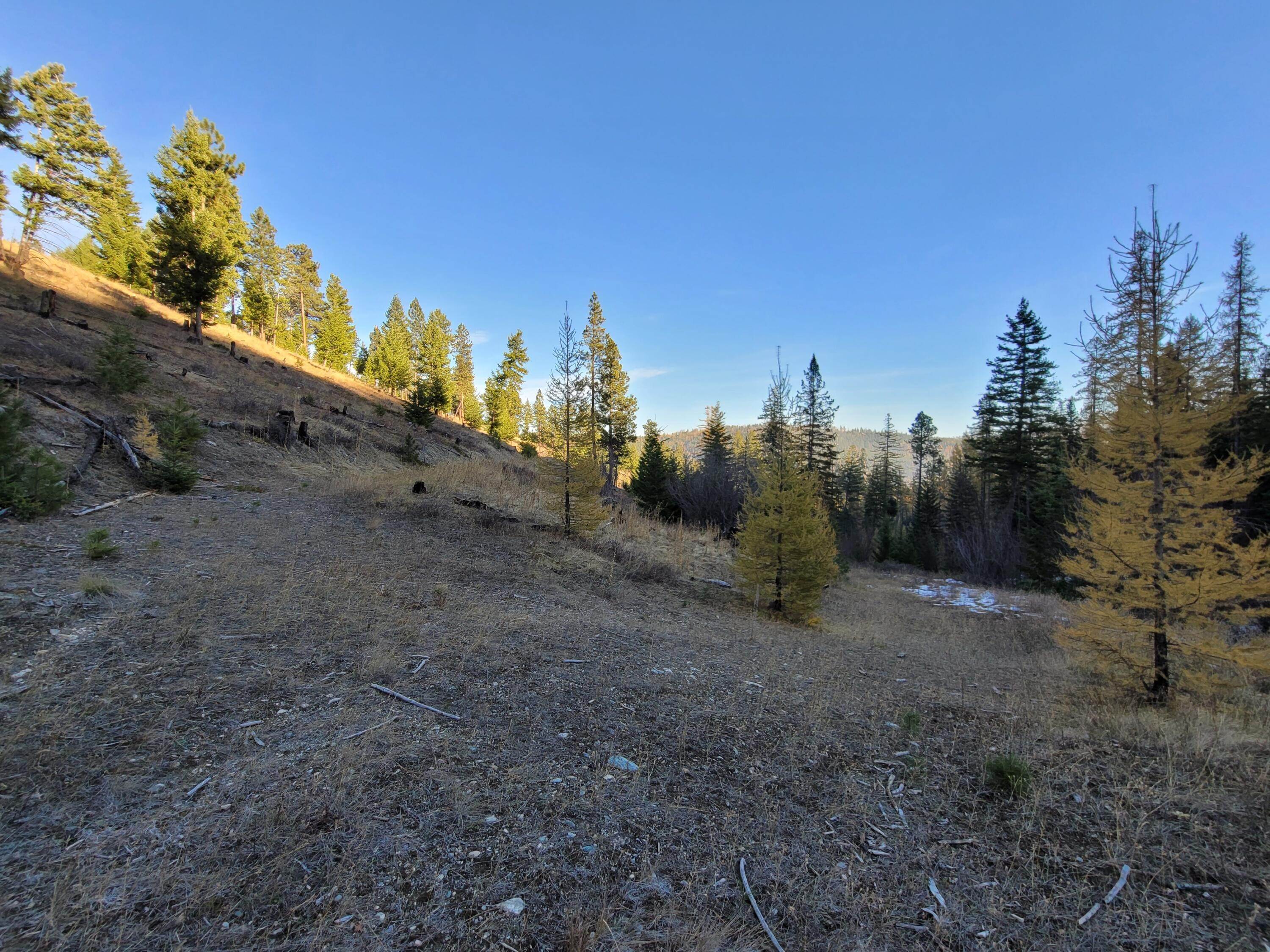 20. Land for Sale at Tract #3 Patrick Creek Road, Kalispell, Montana 59901 United States