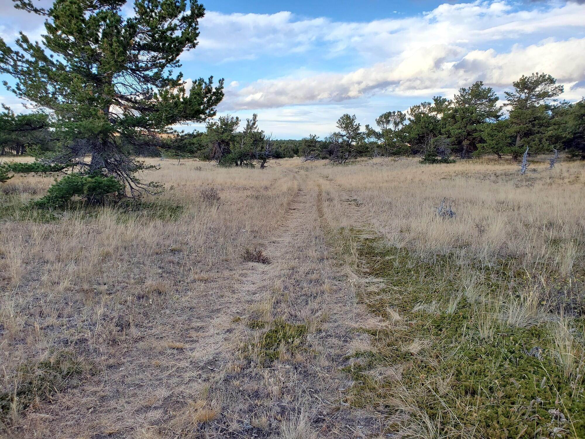5. Land for Sale at 7 Mile Road, Dupuyer, Montana 59432 United States