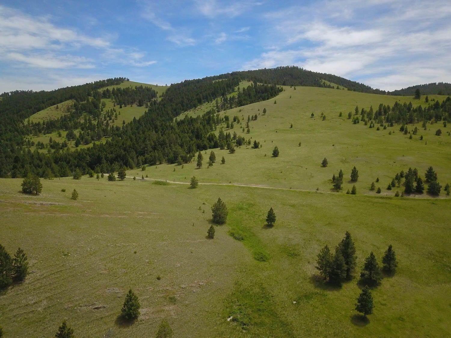 7. Land for Sale at Hwy 12, Helena, Montana 59601 United States