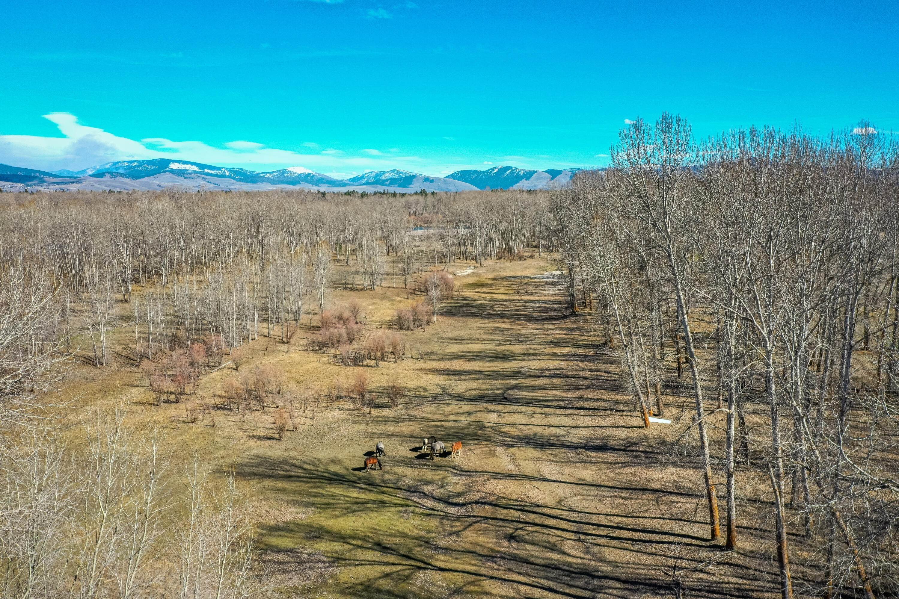 9. Single Family Homes for Sale at 3690 Big Flat Road, Missoula, Montana 59804 United States