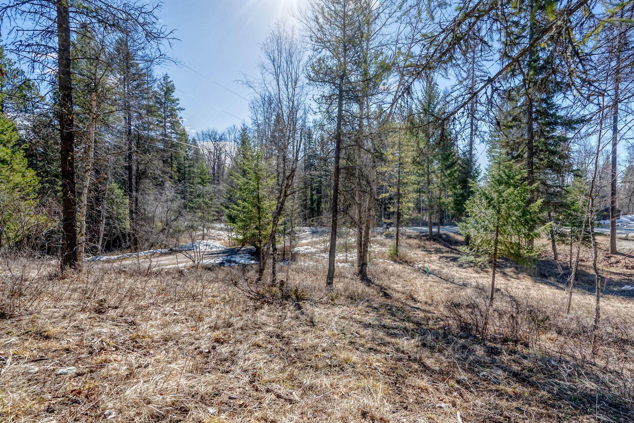 2. Land for Sale at 174 Reservoir Road, Whitefish, Montana 59937 United States