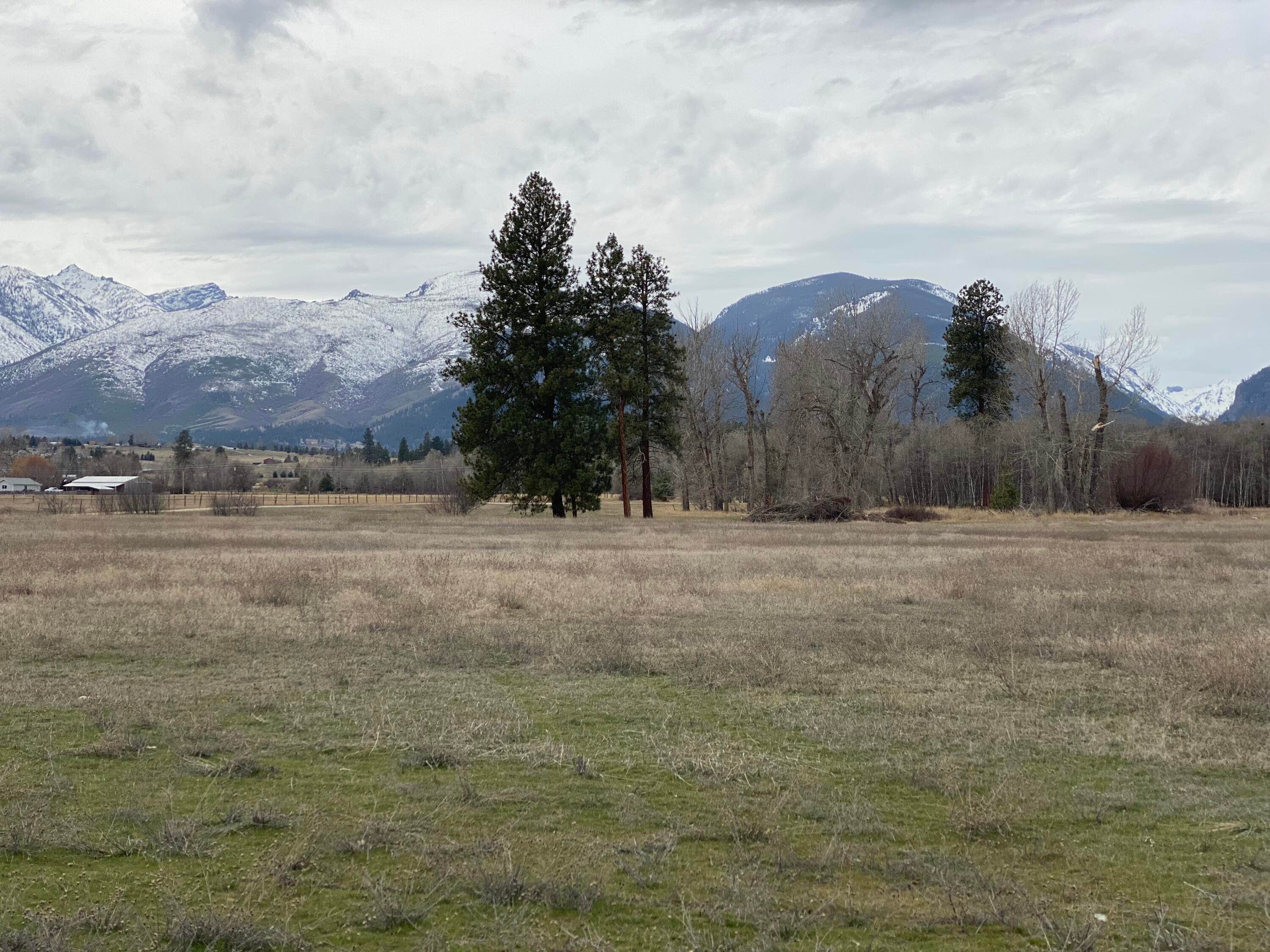 3. Land for Sale at Parcel 4b Hwy 93, Victor, Montana 59875 United States