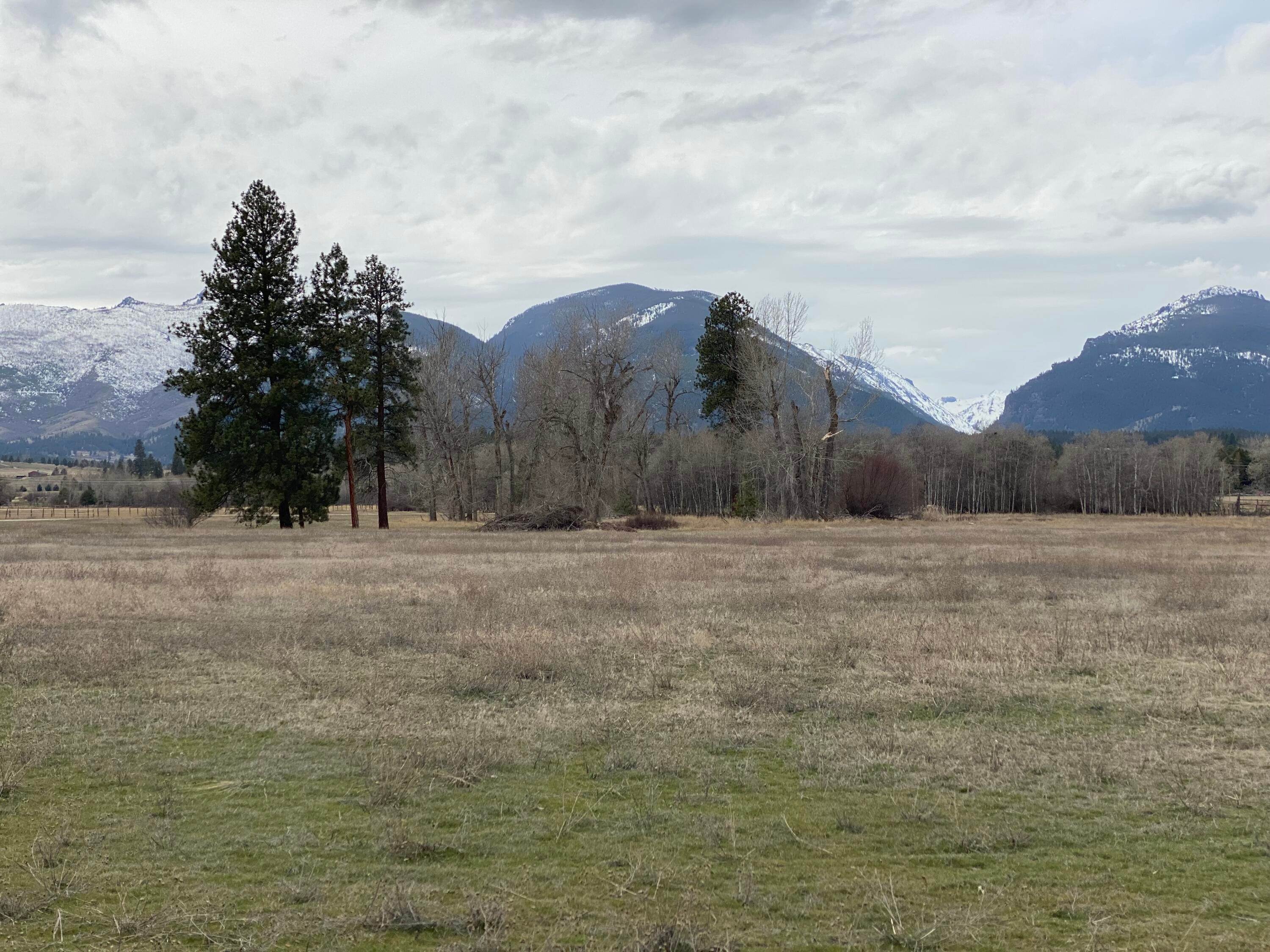 7. Land for Sale at Parcel 4b Hwy 93, Victor, Montana 59875 United States