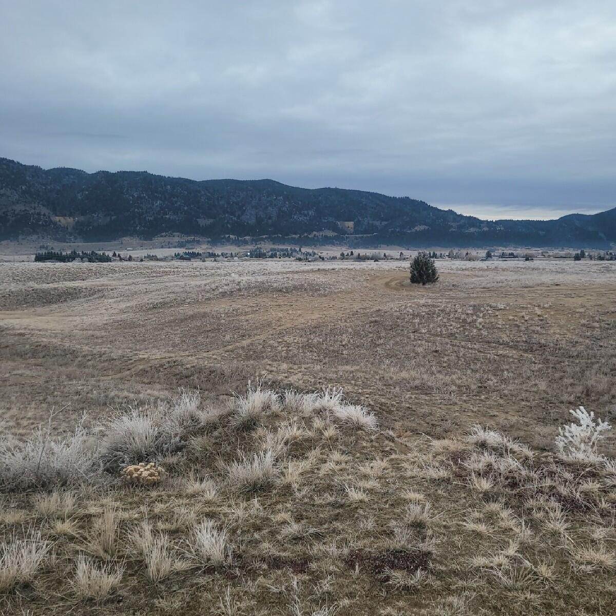 2. Land for Sale at Albany Avenue, Butte, Montana 59701 United States