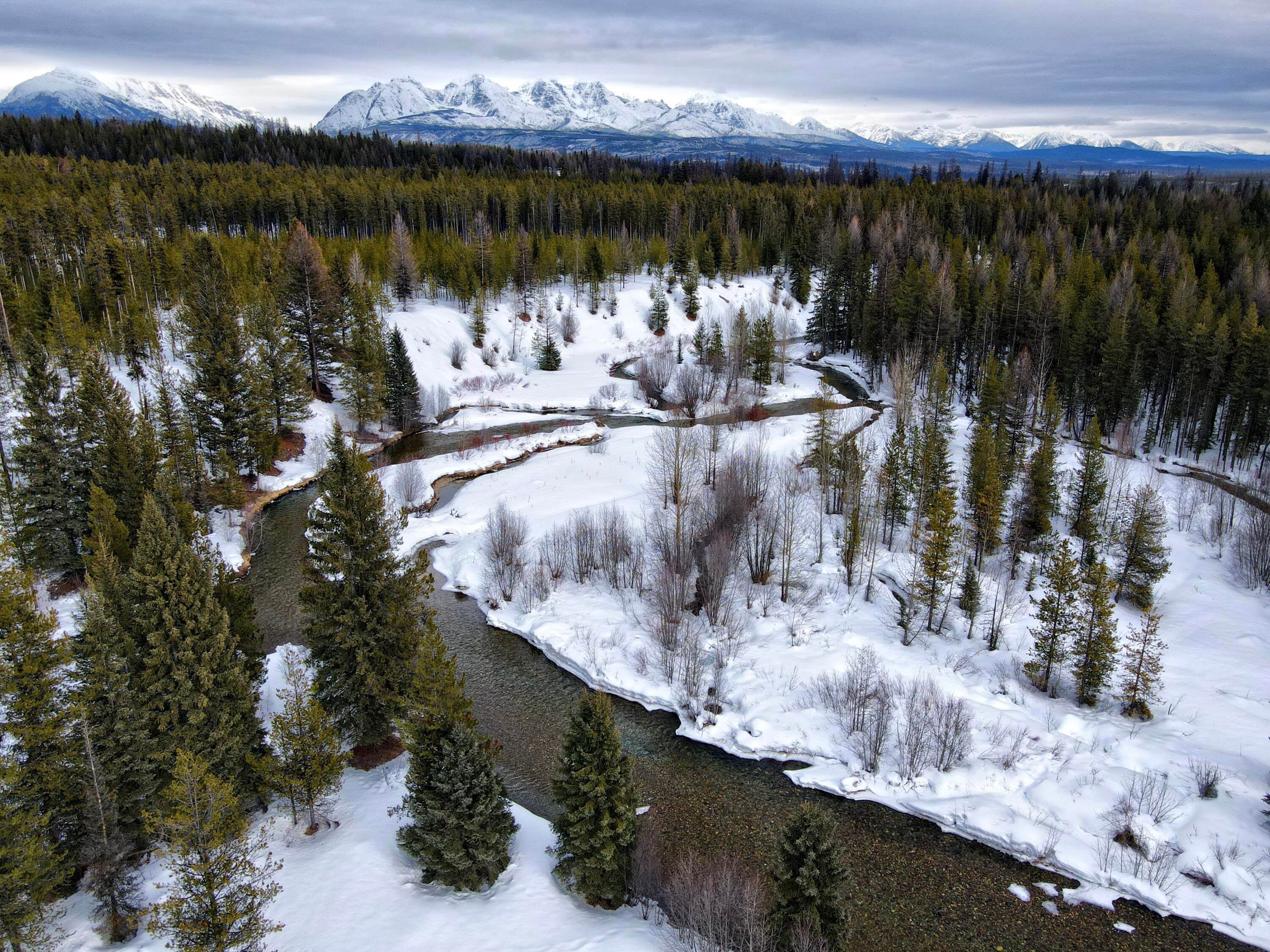 Land for Sale at 530 Trail Creek Road, Polebridge, Montana 59928 United States