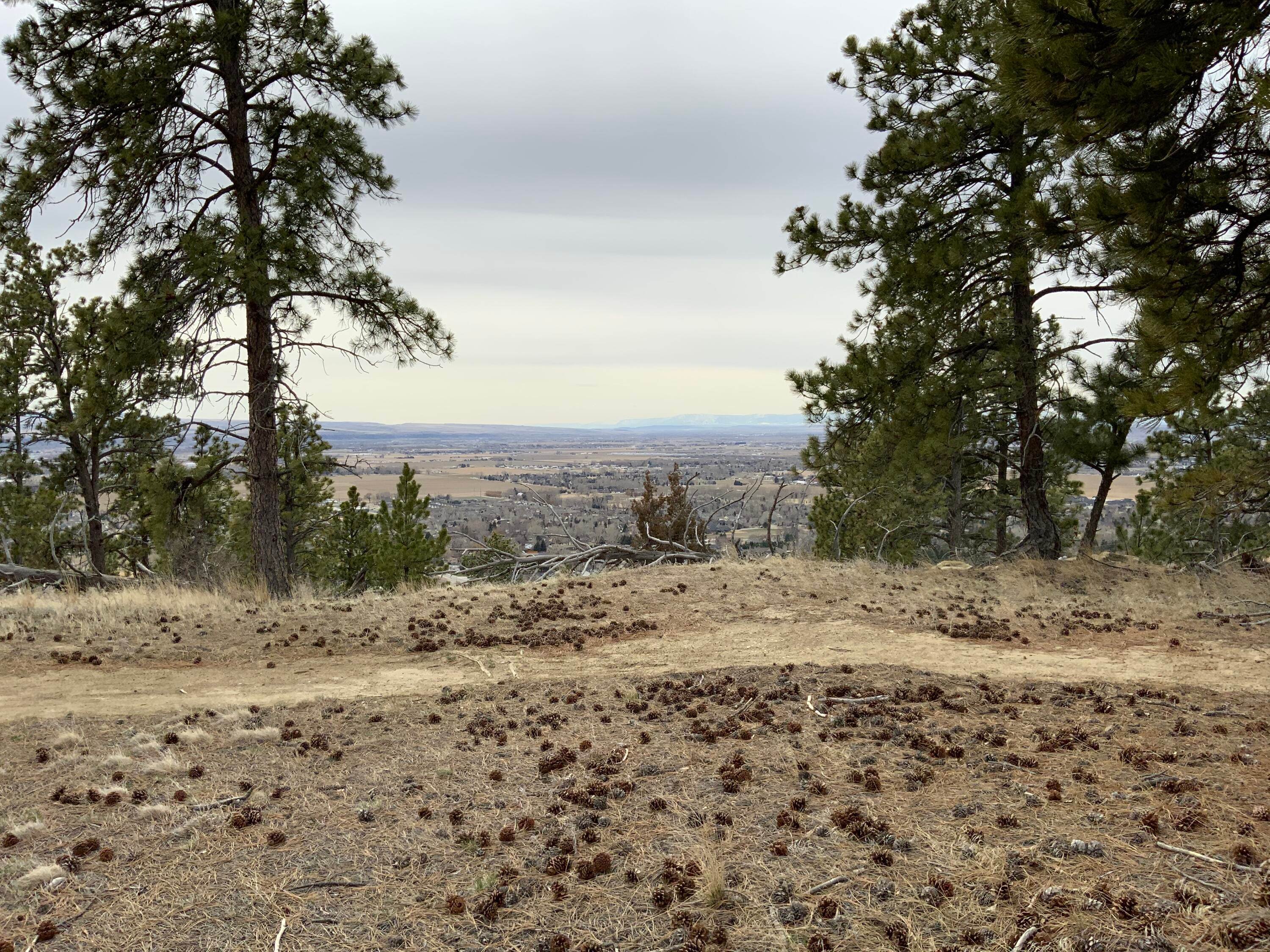17. Land for Sale at 3314 Mt-3, Billings, Montana 59106 United States