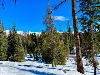 5. Land for Sale at 6468 Mt-83, Condon, Montana 59826 United States