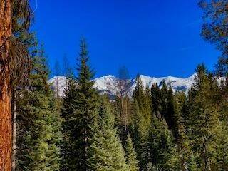 6. Land for Sale at 6468 Mt-83, Condon, Montana 59826 United States