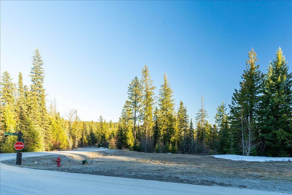 5. Land for Sale at 99 Bitterroot Court, Whitefish, Montana 59937 United States