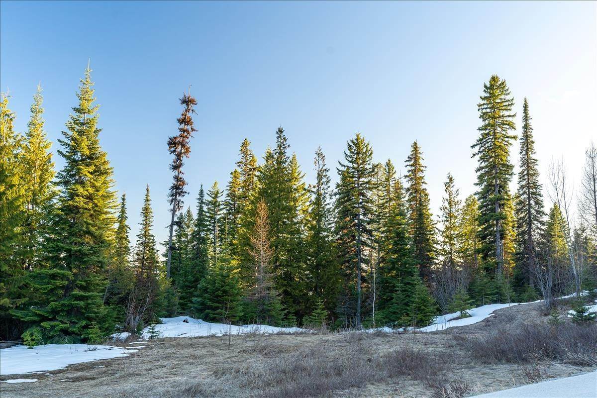 7. Land for Sale at 99 Bitterroot Court, Whitefish, Montana 59937 United States
