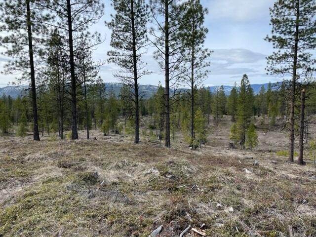 8. Land for Sale at Lot 36 Meadow Peak Subdivision, Libby, Montana 59923 United States