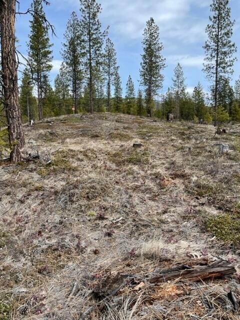 10. Land for Sale at Lot 36 Meadow Peak Subdivision, Libby, Montana 59923 United States